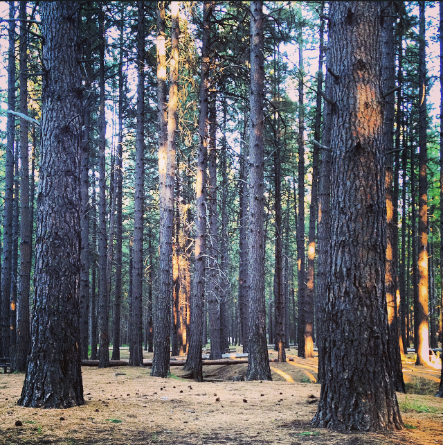 14980344168_52151e3b86_o