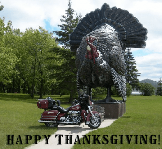 Harley Turkey