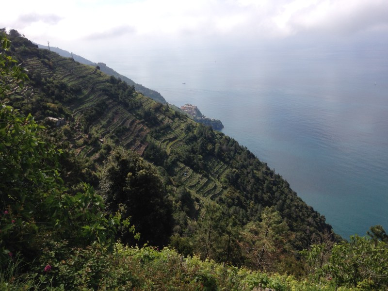 2014-05-09 11.05.03 (1)